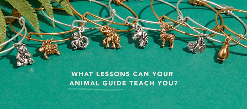 Discovering and Connecting with Your Animal Guide