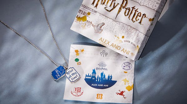  ALEX AND ANI Harry Potter gifts