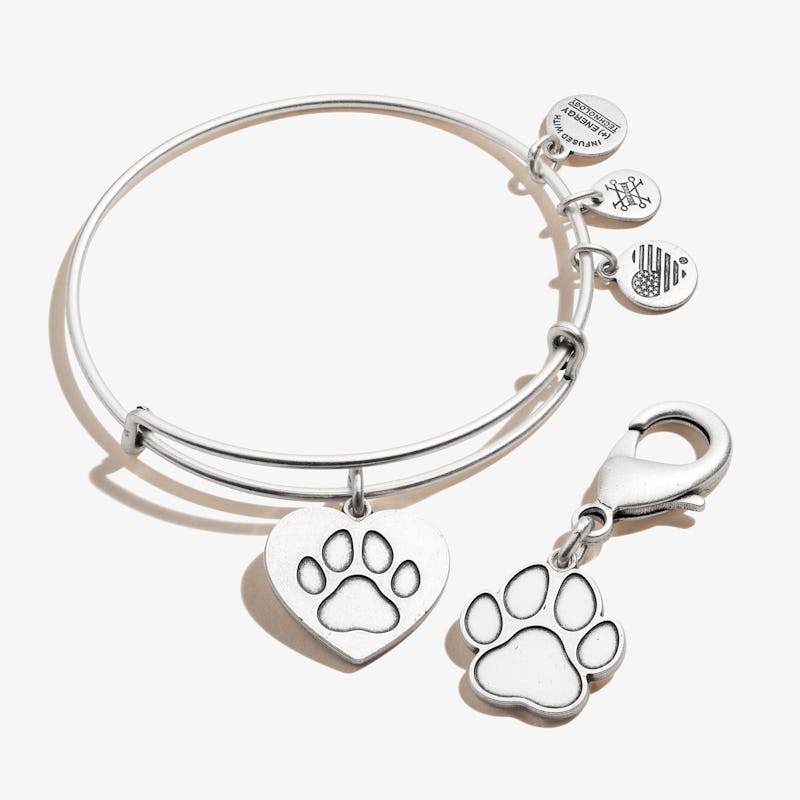Paw in Heart Charm Bangle + Pet Collar Charm Set