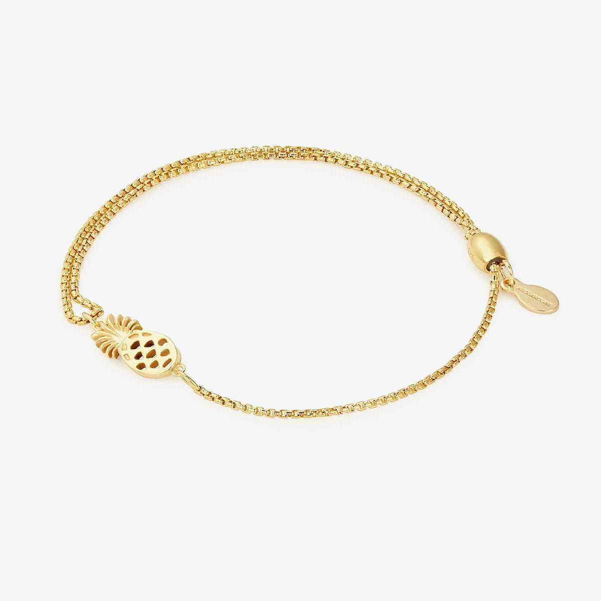 Details about  / Brand New Golden Pineapple Anklet